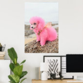 PINK TOY POODLE AT THE BEACH POSTER (Heimbüro)