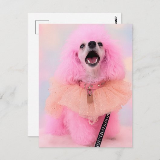Pink Toy Poodle, Mozzarella The Poodle, Postcard Postkarte (Vorne/Hinten)