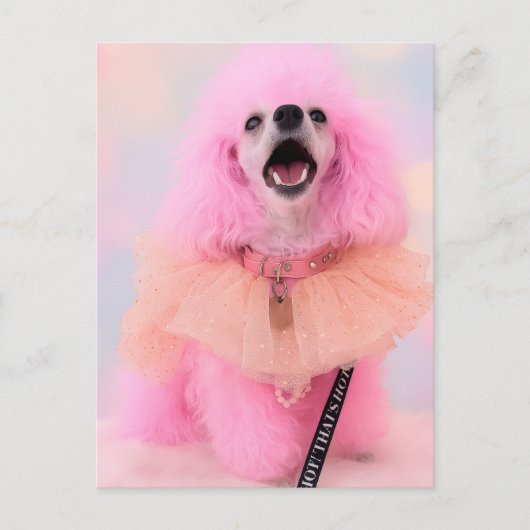 Pink Toy Poodle, Mozzarella The Poodle, Postcard Postkarte (Vorderseite)