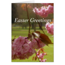 Pink Tree Blossom Ostergrusskarte