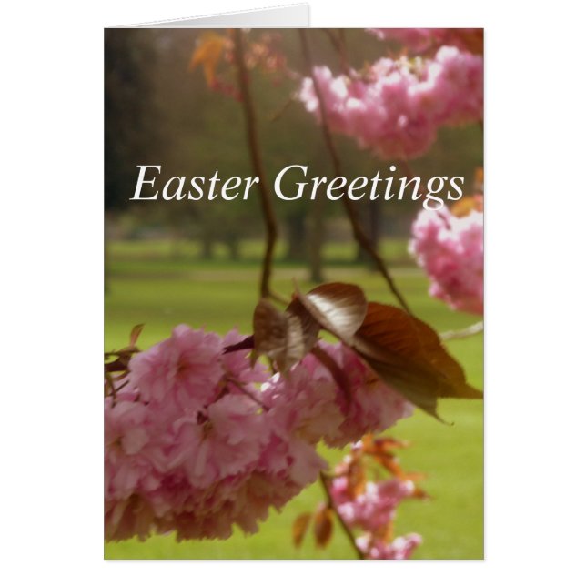 Pink Tree Blossom Ostergrusskarte (Vorne)