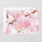 Pink Tree Cherry Blossom Postkarte (Vorne/Hinten)