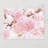 Pink Tree Cherry Blossom Postkarte (Vorderseite)