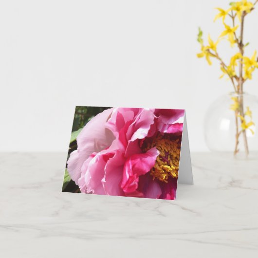 Pink Tree Peony Notecard Karte (Gelbe Blume)