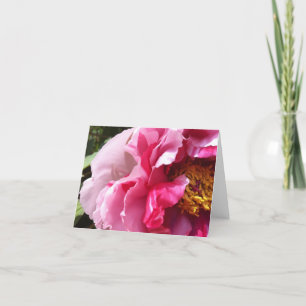 Pink Tree Peony Notecard Karte