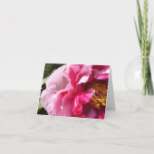 Pink Tree Peony Notecard Karte (Vorderseite)