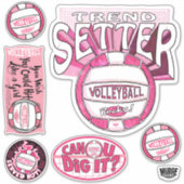 Pink Trend Setter Volleyball Aufkleber (Vorderseite)