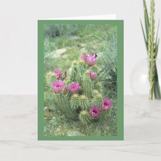 Pink Trill Wüste Kaktus Gruß oder Mitteilungskarte (Vorderseite)