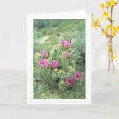 Pink Trill Wüste Kaktus Gruß oder Mitteilungskarte (Gelbe Blume)