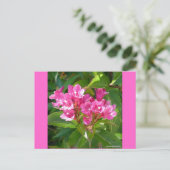 Pink Trumpet-Blume Postkarte (Stehend Vorderseite)