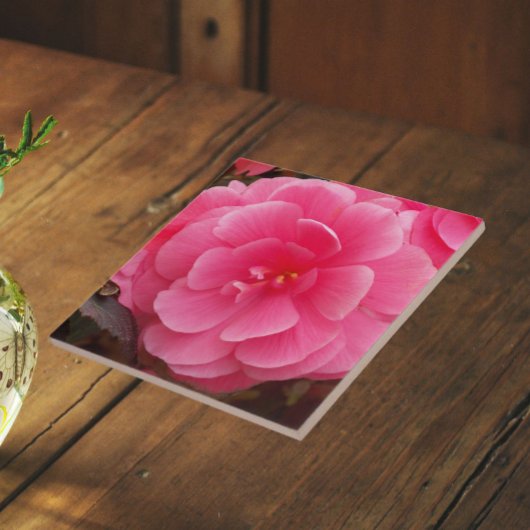 Pink Tuberous Begonia Floral Fliese