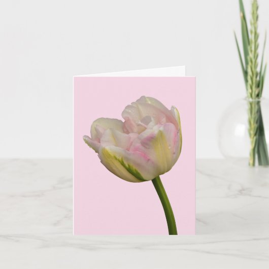 Pink Tulip Blank oder benutzerdefinierte Begrüßung Karte (Vorderseite)