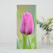 Pink Tulip Blume (Stehend Vorderseite)