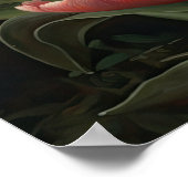 Pink Tulip Blume Art Print Poster (Ecke)