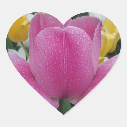 Pink Tulip Blume Heart Sticker (Vorderseite)