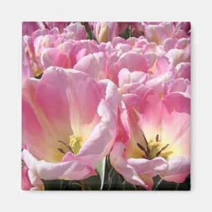 Pink Tulip Blume Magnet Geschenke Floral Garden