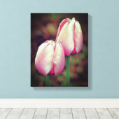 Pink-Tulip-Blume mit Regentropfen Leinwanddruck (Insitu (Holzboden))