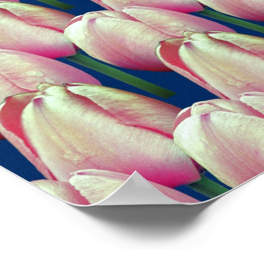 Pink Tulip Blume Muster Poster (Ecke)