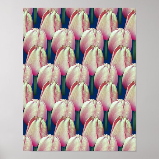 Pink Tulip Blume Muster Poster (Vorne)