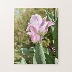 Pink Tulip Blume Nature Fotografy London UK Puzzle