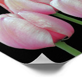 Pink Tulip Blume Poster (Ecke)