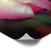 Pink Tulip Blume Raindrops Mirrored Abstrakt Poster (Ecke)