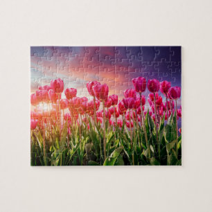 Pink Tulip Blume Sunset Nature Niederlande Puzzle