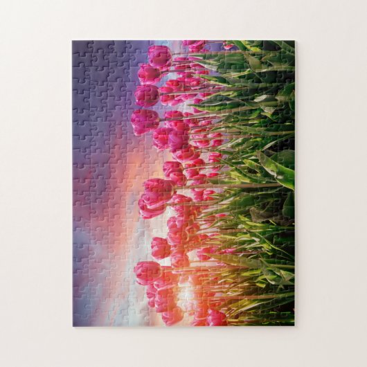 Pink Tulip Blume Sunset Nature Niederlande Puzzle (Vertikal)