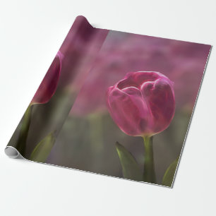 Pink Tulip Bokeh Geschenkpapier