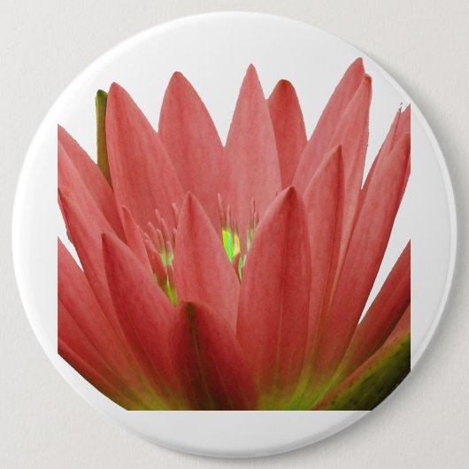 Pink Tulip Button (Vorderseite)