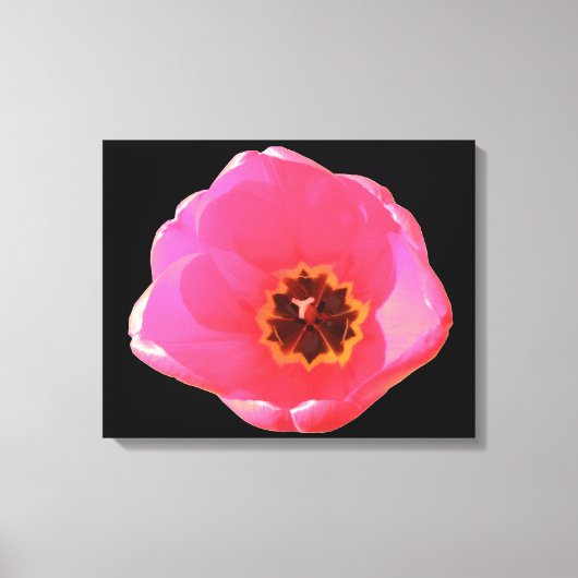 Pink Tulip Canvas Print Leinwanddruck (Vorderseite)