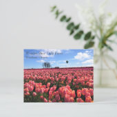 Pink Tulip Field mit Hot Air Ballon, Oregon Postkarte (Stehend Vorderseite)