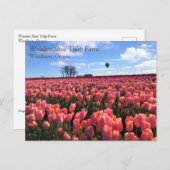 Pink Tulip Field mit Hot Air Ballon, Oregon Postkarte (Vorne/Hinten)