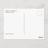 Pink Tulip Field mit Hot Air Ballon, Oregon Postkarte (Rückseite)