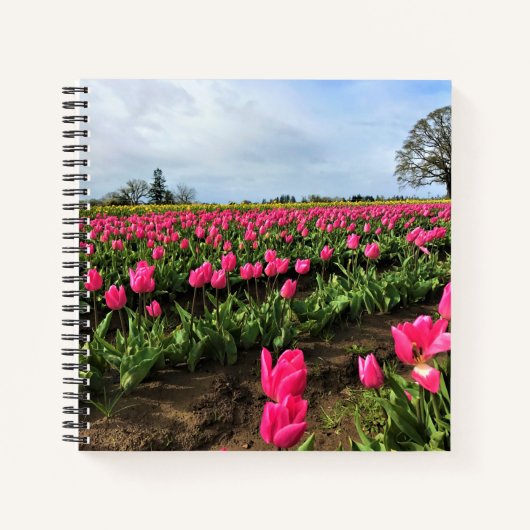 Pink Tulip Field, Oregon Notizblock (Vorderseite)
