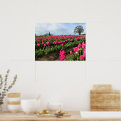 Pink Tulip Field, Oregon Poster (Küche)
