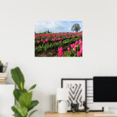 Pink Tulip Field, Oregon Poster (Heimbüro)
