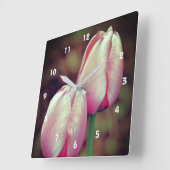 Pink Tulip Flowers With Raindrops Quadratische Wanduhr (Winkel)