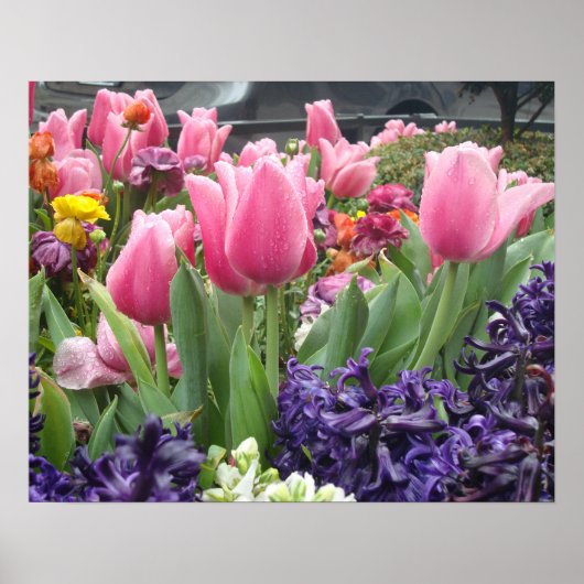 Pink Tulip Forest Poster (Vorne)