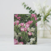 Pink Tulip Foto Kunst Postkarte (Stehend Vorderseite)