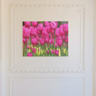 Pink Tulip Garden Floral Leinwanddruck