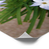 Pink Tulip Kleine Dinge Frühjahrspriorenposter Poster (Ecke)