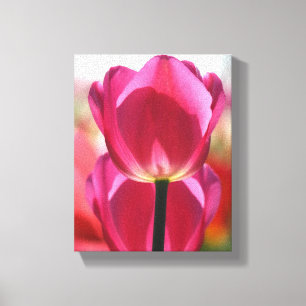 Pink Tulip Leinwand