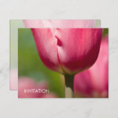 Pink Tulip Macro DSC0852 Einladung (Vorne/Hinten)