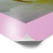 Pink Tulip Macro Foto (Ecke)