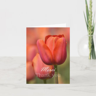Pink Tulip Merci Vielen Dank Notecard Dankeskarte
