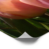 Pink Tulip North End Poster (Ecke)