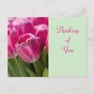 Pink Tulip Portrait Denken Sie an Sie Postkarte