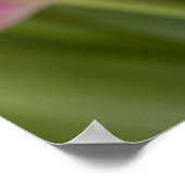 Pink Tulip Portrait Poster (Ecke)