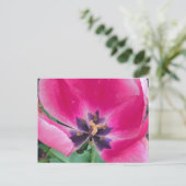 Pink Tulip Postcard Postkarte (Stehend Vorderseite)